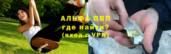 стаф Балахна