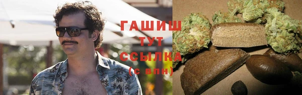 стаф Балахна