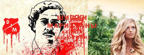стаф Балахна