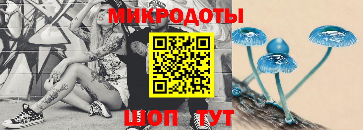 Псилоцибиновые грибы MAGIC MUSHROOMS  Вход с VPN  Белая Калитва 